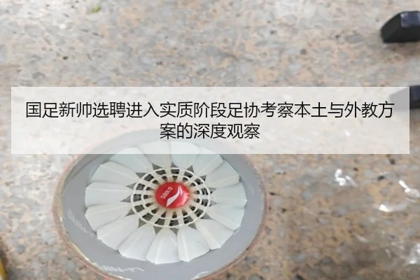 国足新帅选聘进入实质阶段足协考察本土与外教方案的深度观察